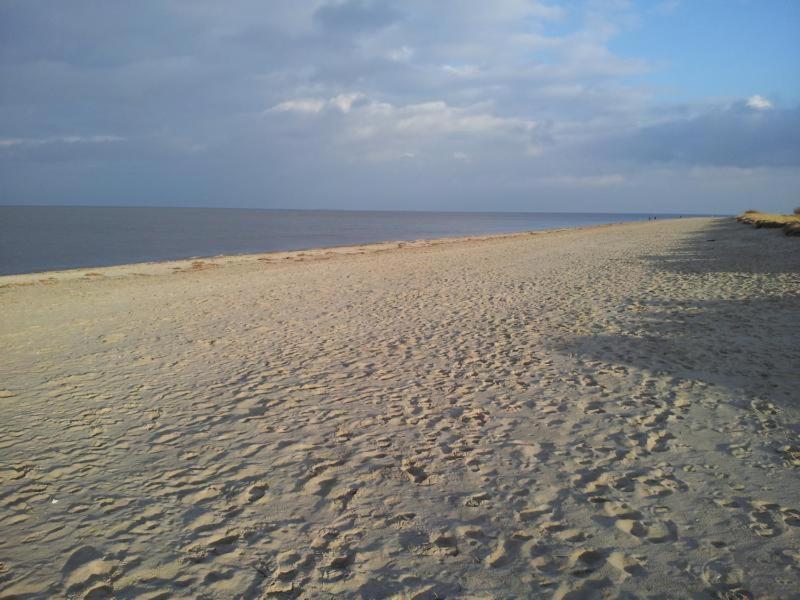 Ferienwohnung Voelker, Wenige Schritte Zum Meer, Wlan, 3 Sz, Kinder Geeignet, Sackgasse, Horumersiel - Nordsee, Erdgeschoss Schillig Eksteriør billede